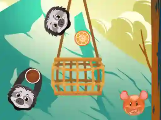 Spil Slings To The Basket online