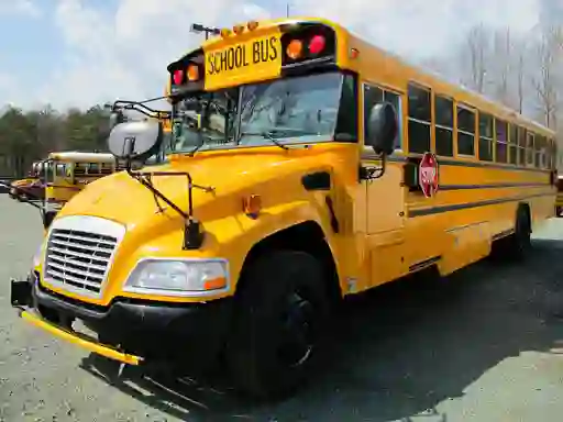 Spil School Buses Puzzle online