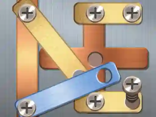 Spil Screw Puzzle online