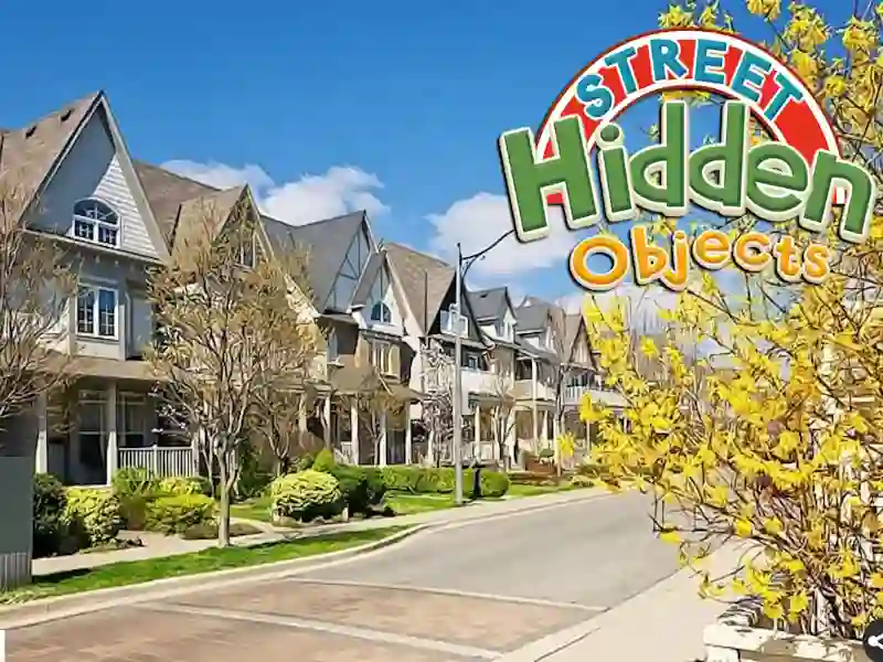 Spil Street Hidden Objects online