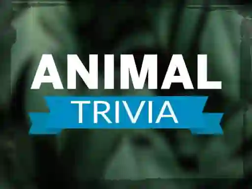Spil Animal Trivia online