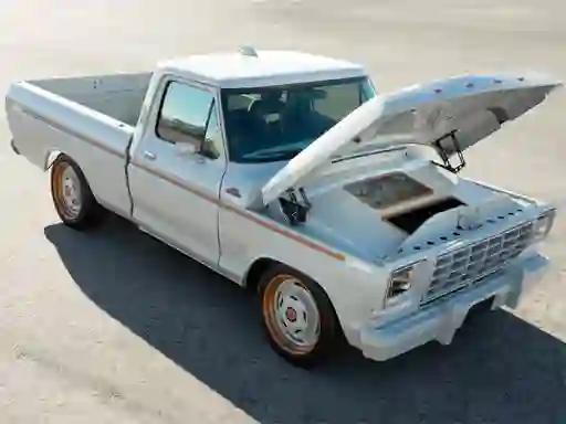 Spil Ford F-100 Eluminator Slide online