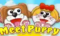 Spil Meet Puppy online