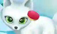Spil Paws to Beauty Arctic Edition online