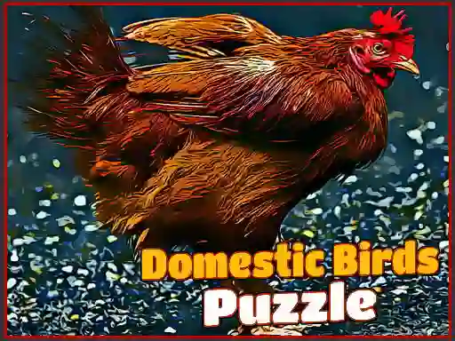 Spil Domestic Birds Puzzle online