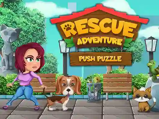 Spil Rescue Adventure Push Puzzle online