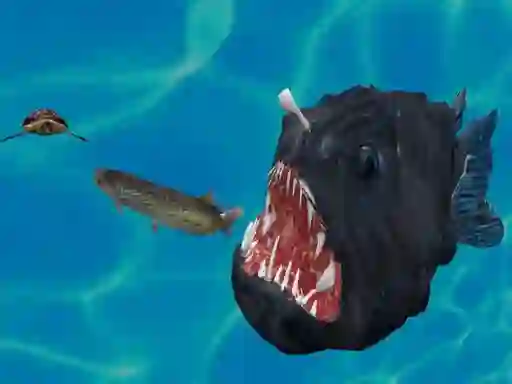Spil Fish 3d online