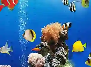 Spil Sea Underwater Difference online