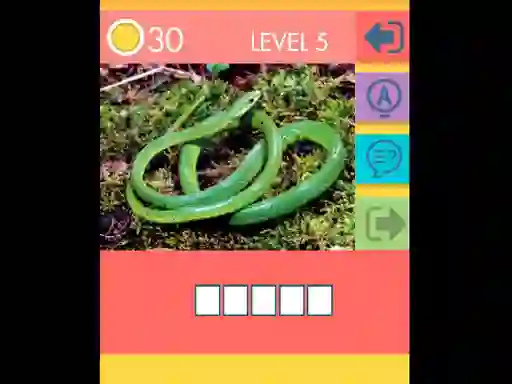 Spil 15 Picture Quiz online