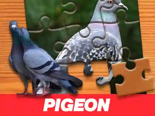 Spil Pigeon Jigsaw Puzzle online