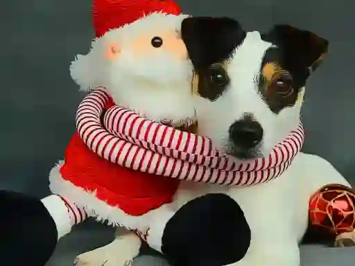 Spil Funny Christmas Dogs online