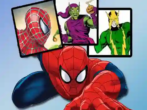 Spil Spiderman Match Cards online