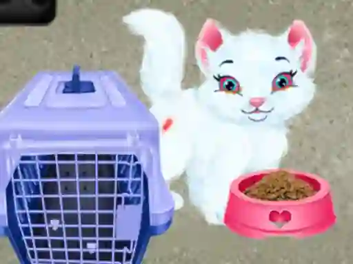 Spil Baby Taylor Pet Care online