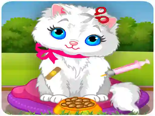 Spil Vet Cat Clinic online