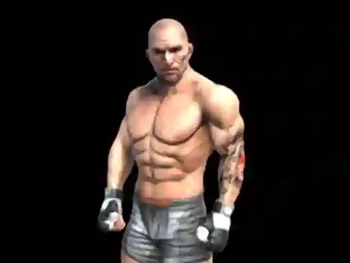 Spil Fight Arena Online online
