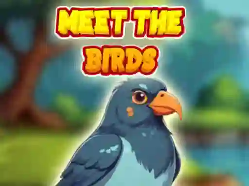 Spil Meet The Birds online