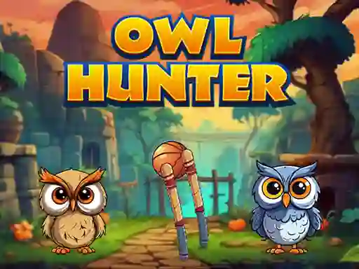 Spil Owl Hunter online