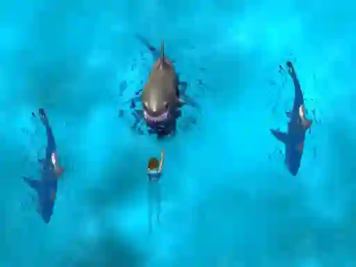Spil Avoid the Sharks online