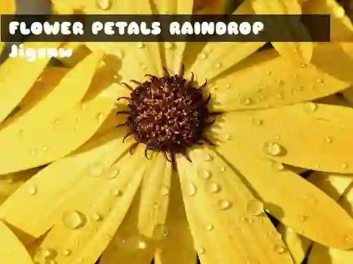 Spil Flower Petals Raindrop Jigsaw online