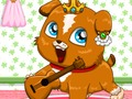 Spil Pet roulette online