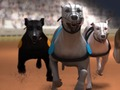 Spil Greyhound Racing online