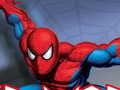 Spil Spider Warrior online