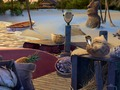 Spil Pearl fare  online