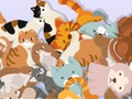 Spil Find kitty online