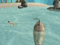 Spil Shark Simulator Beach Killer online