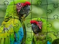 Spil Jigsaw puslespil regnskov online