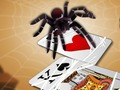 Spil Springer Spider  online