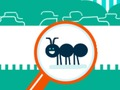 Spil Squashy bug online