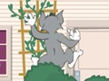 Spil Tom og Jerry: Wasserbomben Wahnsinn  online