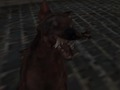 Spil Nazistiske zombie hær  online