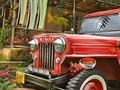 Spil Flower Farm online