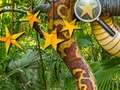 Spil Jungle Hidden Stars online
