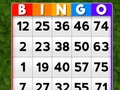 Spil Bingo online