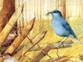 Spil Fugle: kunstpuslespil  online