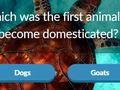 Spil Dyre trivia online