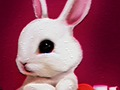 Spil Tilbage til skolen: Rabbit Coloring Book  online