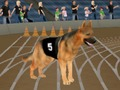 Spil Crazy Dog Racing Fever online