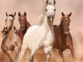 Spil Heste Puzzle  online