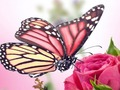 Spil Sommerfugle Puzzle  online