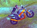 Spil Mountain Bike Rider online