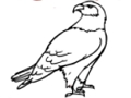 Spil Eagle farvelægning online
