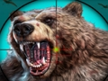 Spil Wild Bear Jagt online