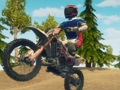 Spil Snavscykel enduro racing online
