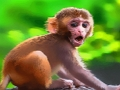 Spil Sjov baby abe  online