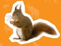 Spil Dyrehus  online