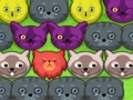 Spil Pop-pop killinger  online
